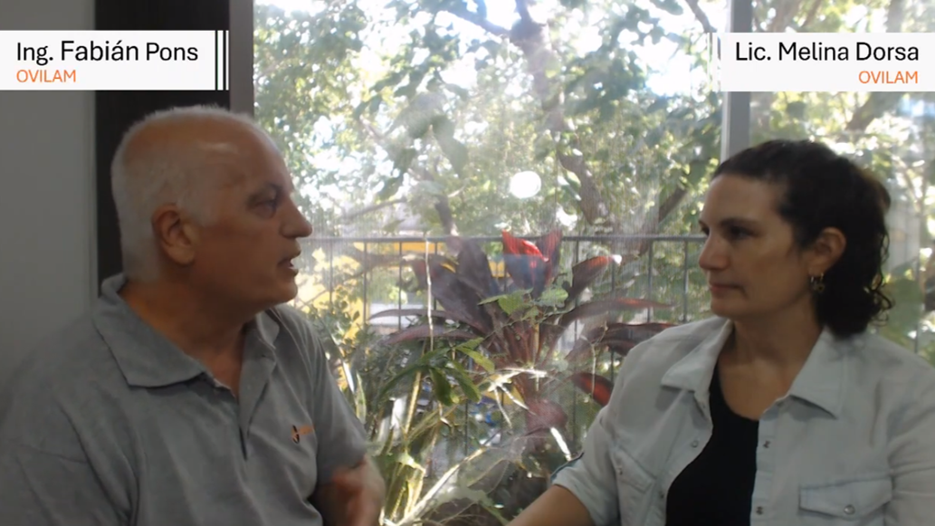 imagen VTV o RTO